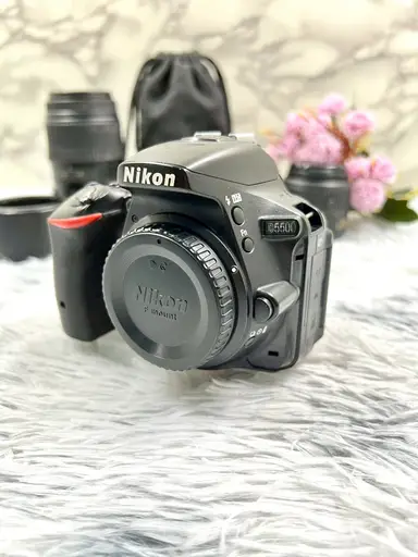 Nikon D5500