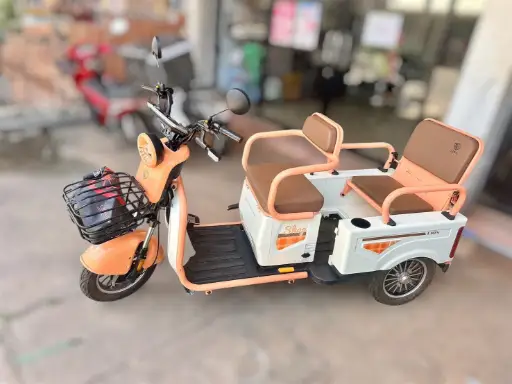 รถสามล้อไฟฟ้า LION EV รุ่น: TRIO D1 (ราคามือหนึ่ง สองหมื่นห้า )