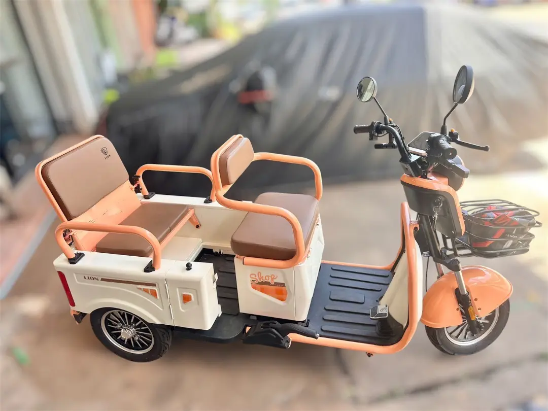 รถสามล้อไฟฟ้า LION EV รุ่น: TRIO D1 (ราคามือหนึ่ง สองหมื่นห้า ) รูปที่ 2