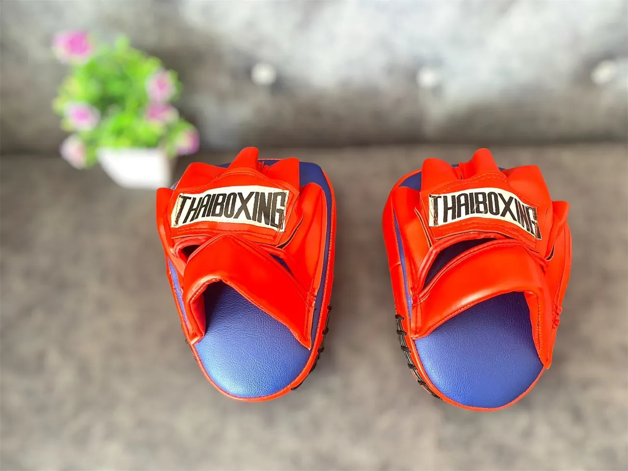 อุปกรณ์ฝึกซ้อมกีฬามวย THAIBOXING & Twins Special รูปที่ 2