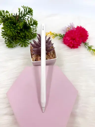 Apple Pencil Gen 2