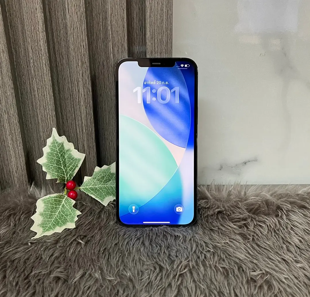 iPhone 12 Pro Max 256GB รูปที่ 2