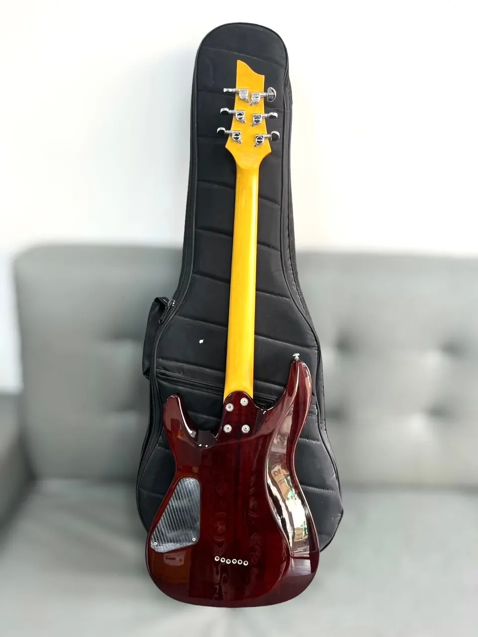 กีตาร์ไฟฟ้า Schecter รุ่น C-6 Plus รูปที่ 2