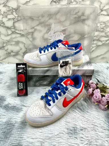 Nike dunk low retro prm