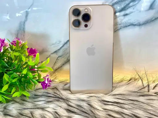 iPhone 13 Pro Max 256GB