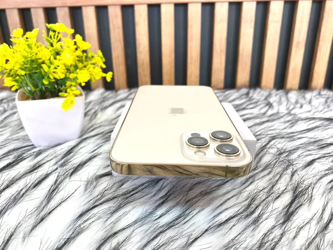 iPhone 12 Pro Max 256GB รูปที่ 2