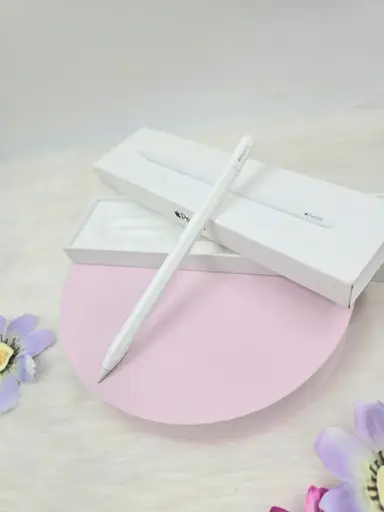 Apple Pencil (USB-C)