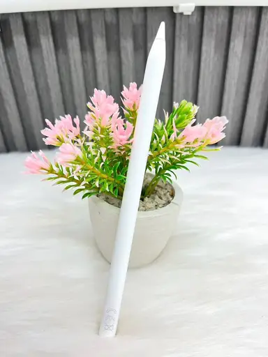 Apple Pencil Gen 2