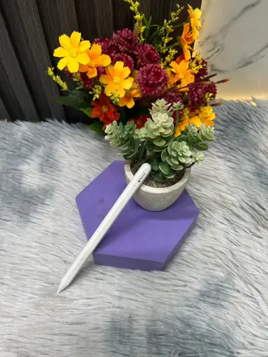 Apple Pencil (USB-C)