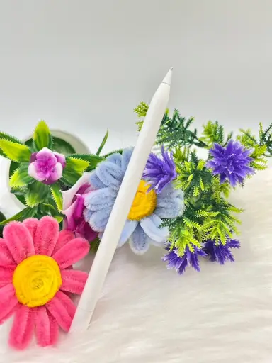 Apple Pencil (USB-C) ประกันศูนย์ถึง 17/03/2570