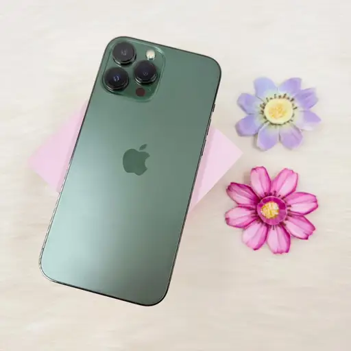 iPhone 13 Pro Max 256GB