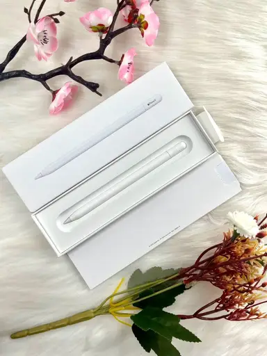 Apple Pencil (USB-C)